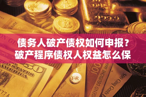 北京债务人破产债权如何申报？破产程序债权人权益怎么保障？