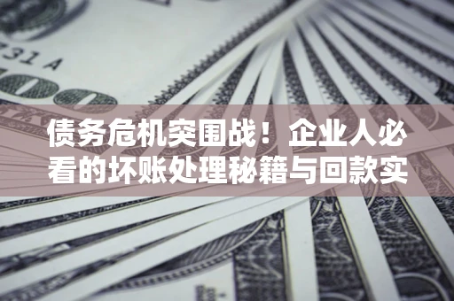 北京债务危机突围战！企业人必看的坏账处理秘籍与回款实战指南